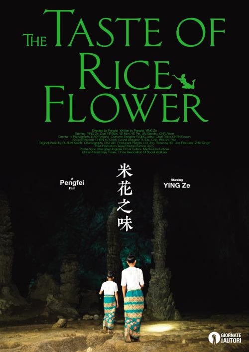 定制高仿华盛顿州出生证明